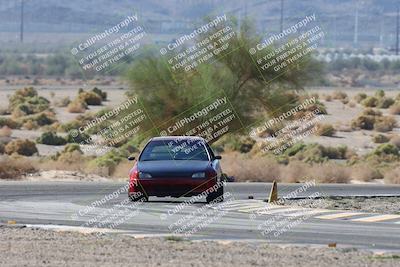 media/Oct-24-2025-Doghouse Garage (Fri) [[783d2ff07a]]/1-Advanced/Session 2 Turn 5 Tree of Life/